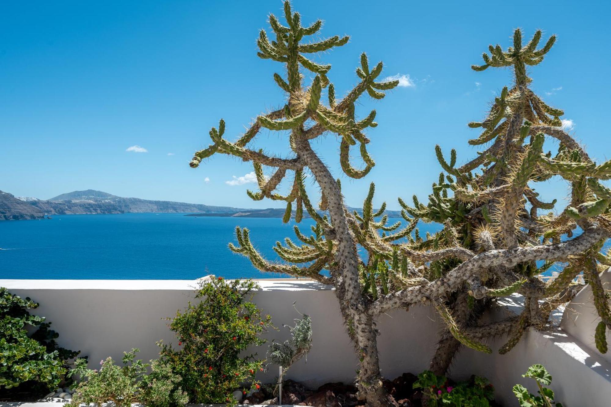 Passion Blue Villas Oia  Esterno foto